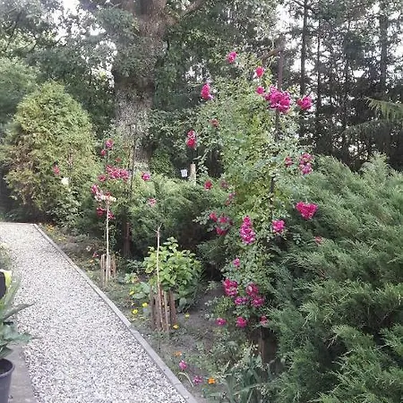 Pod Debami Farm stay